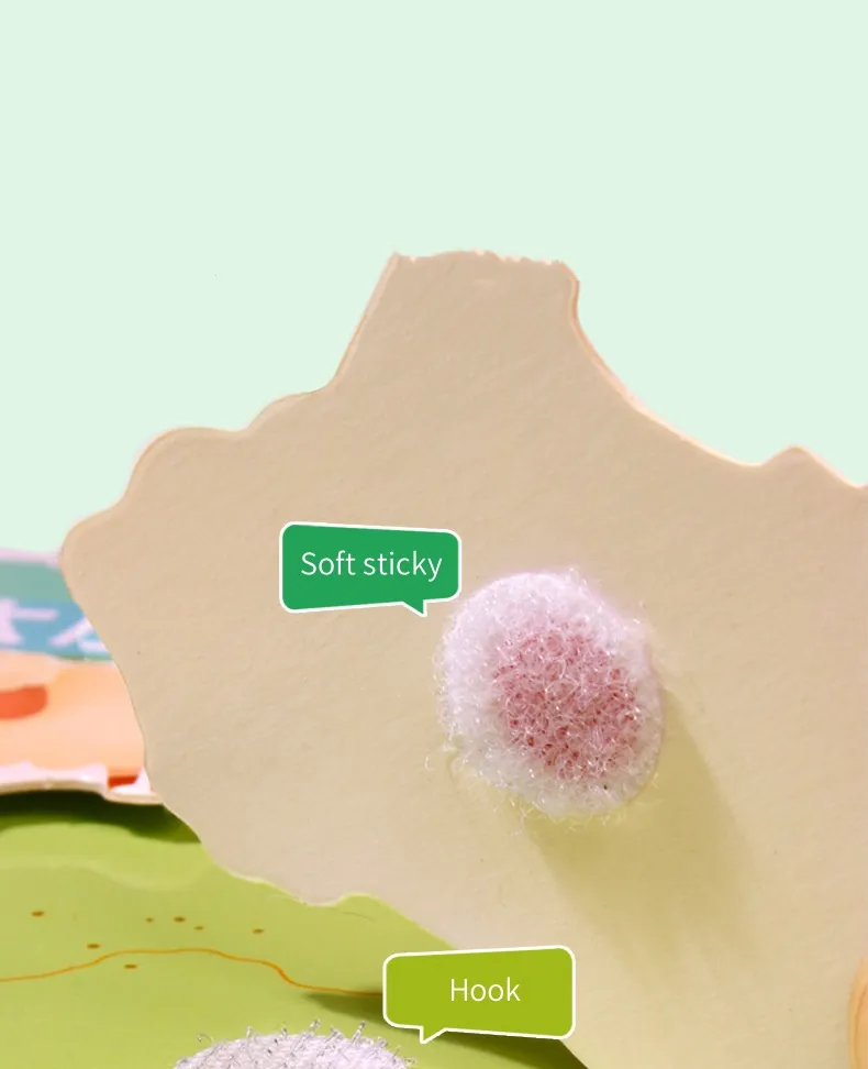 Educational Detail 3