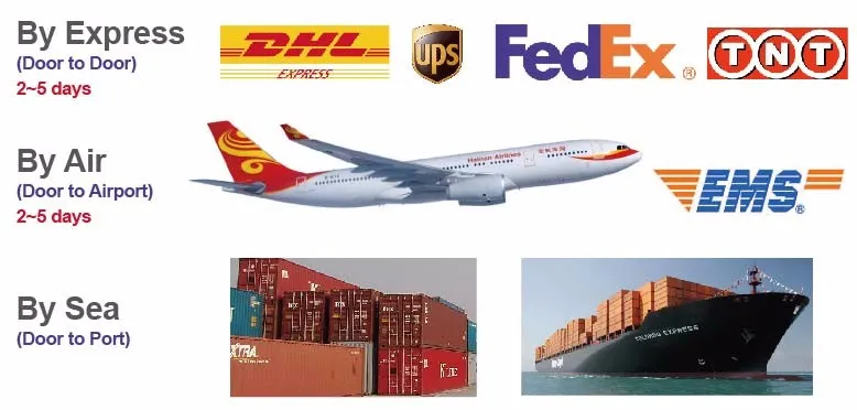 Shipping and Logistics