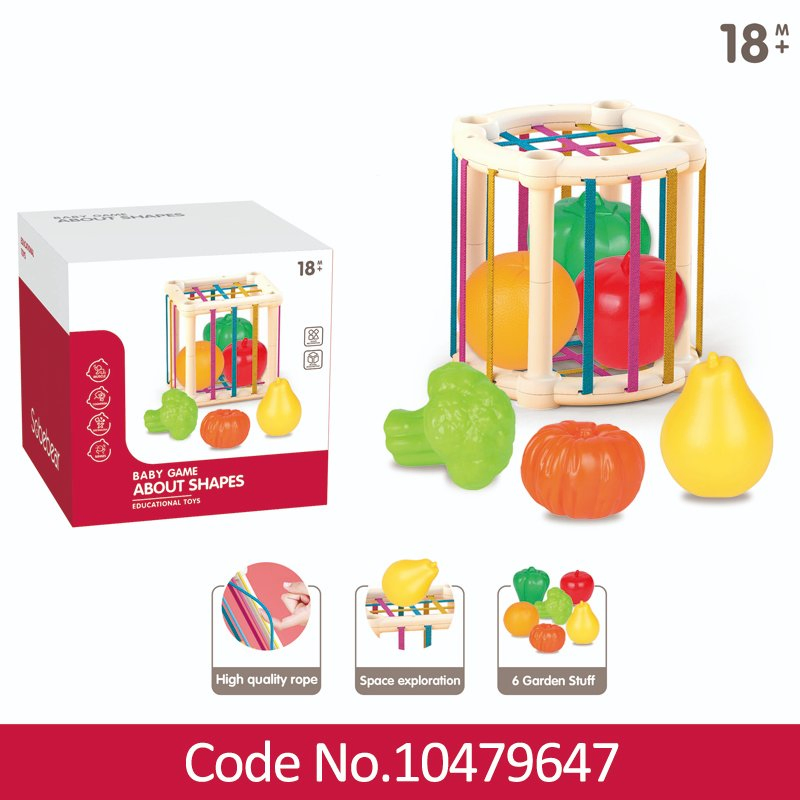 Montessori Toys for 1 Year Old, Baby Sorter Toy Colorful Cube and Multi Sensory Shape, Toddler Educational Learning Toys