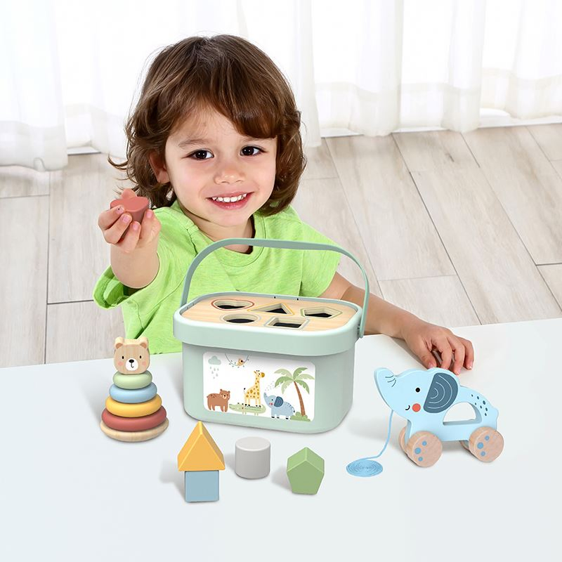 Educational Wooden Toy Set for Children's Cognitive Development