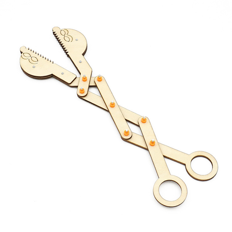 Shopfiy Hot New Toys 2022 Kids The Crocodile Cut Science Experiment Kits Stem