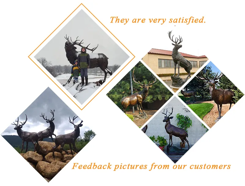 Client Feedback 2