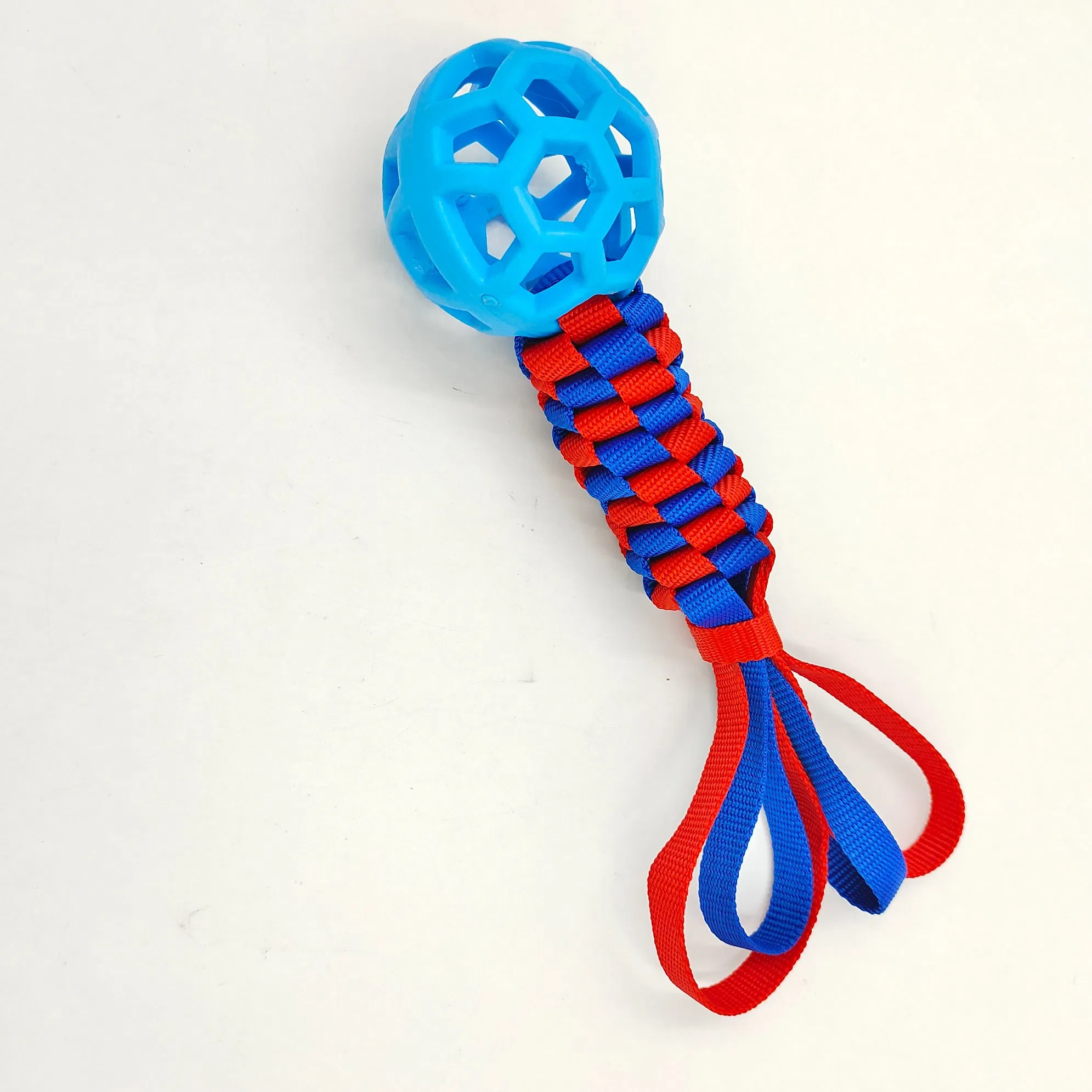 Charming Educational Interactive Pet Toys with Non Toxic Paint