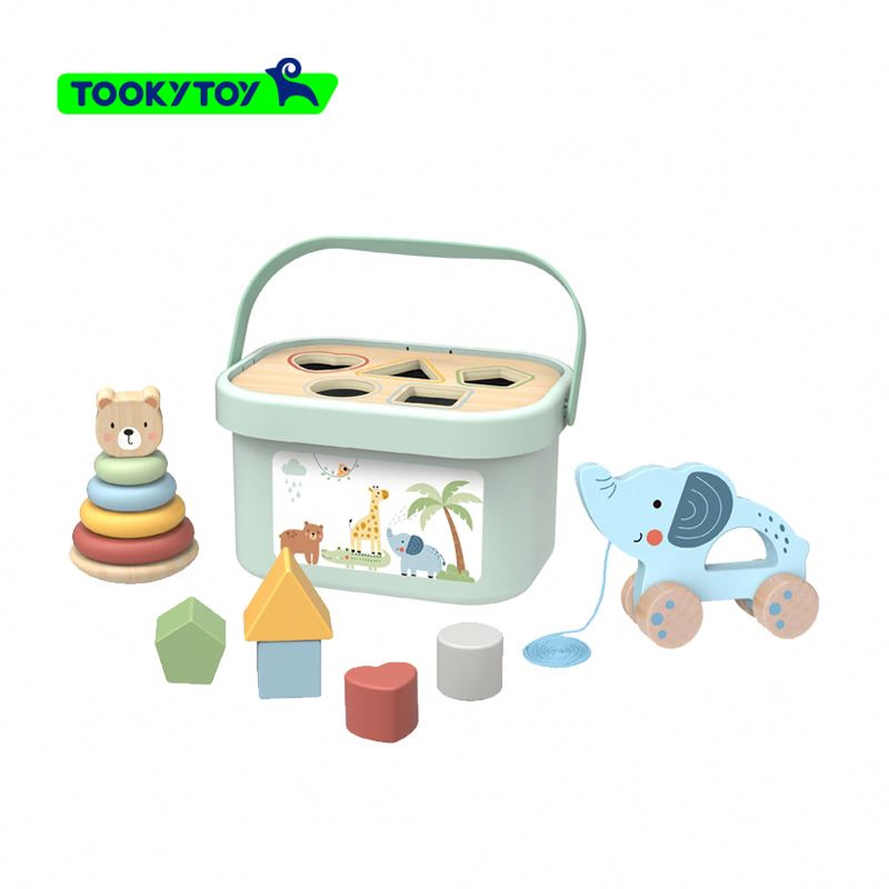 Educational Wooden Toy Set for Children's Cognitive Development