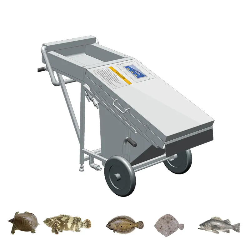 Drawings and Dimensions