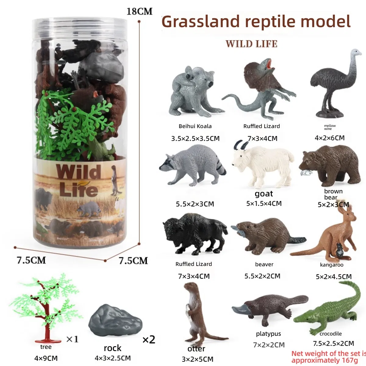 Educational Animal Model