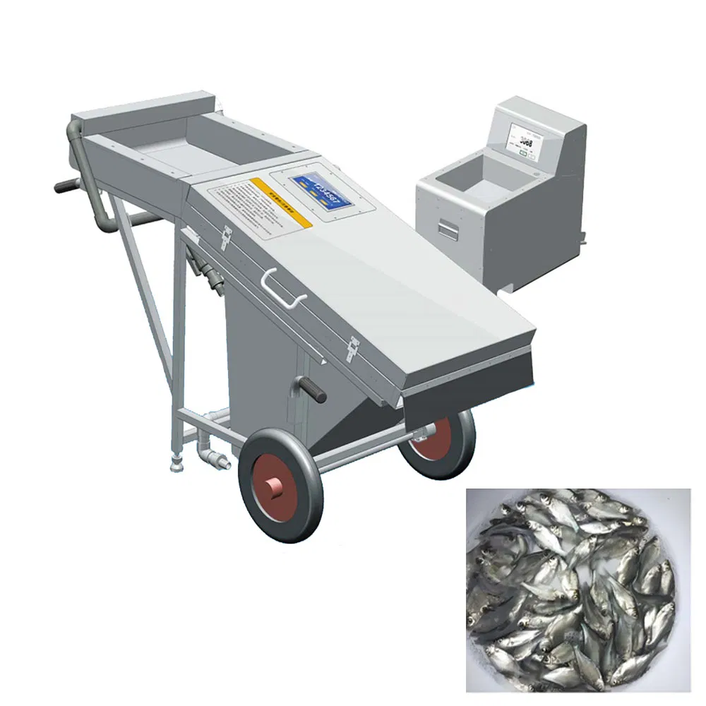 Fish Fry Counting Via Machine Vision Tongue Sole Tilapia Snapper Grouper Eel Salmon Sea Bass Cod Pond Separation Fish Fry Breeding and Hatchery
