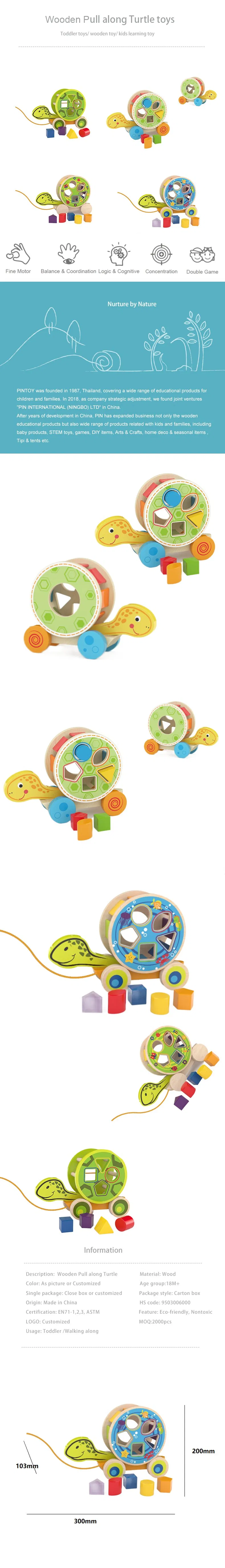 Wooden Pull Along Turtle 1