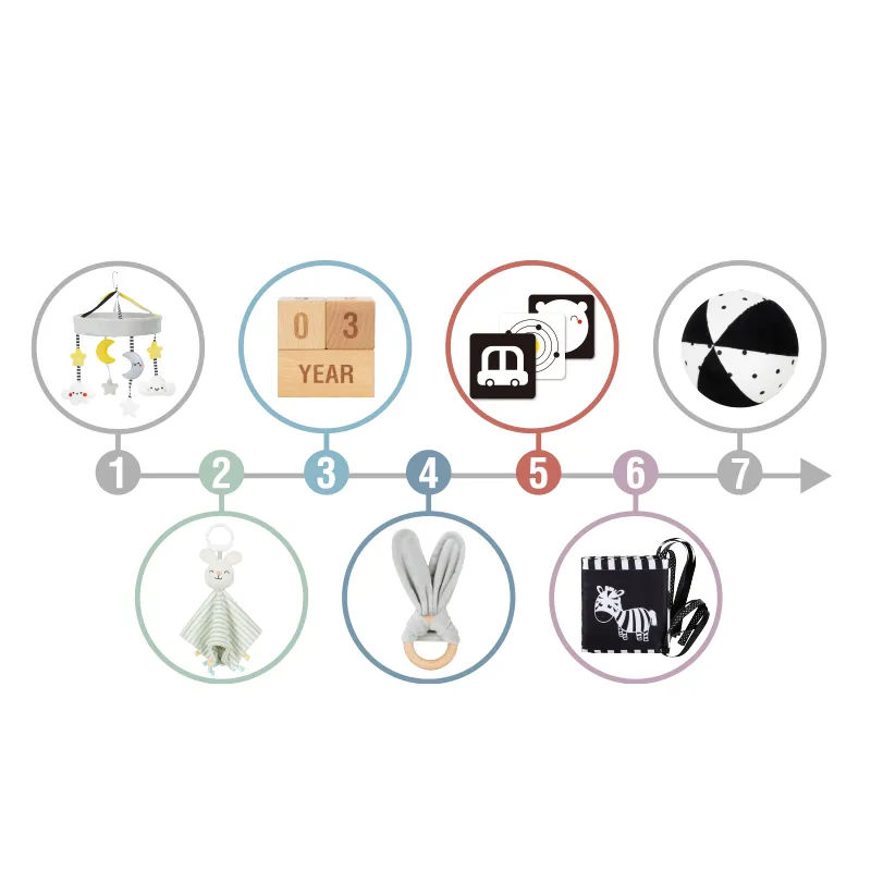 Educational Box Toy 5