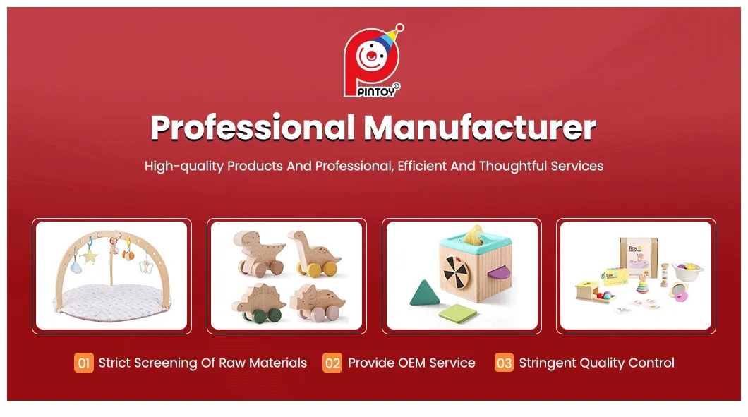 Montessori Educational Toy