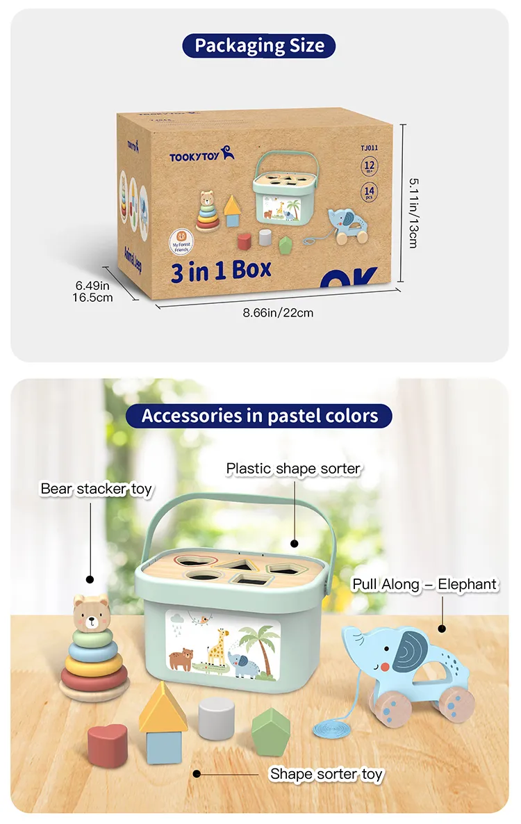 Child Cognitive Development