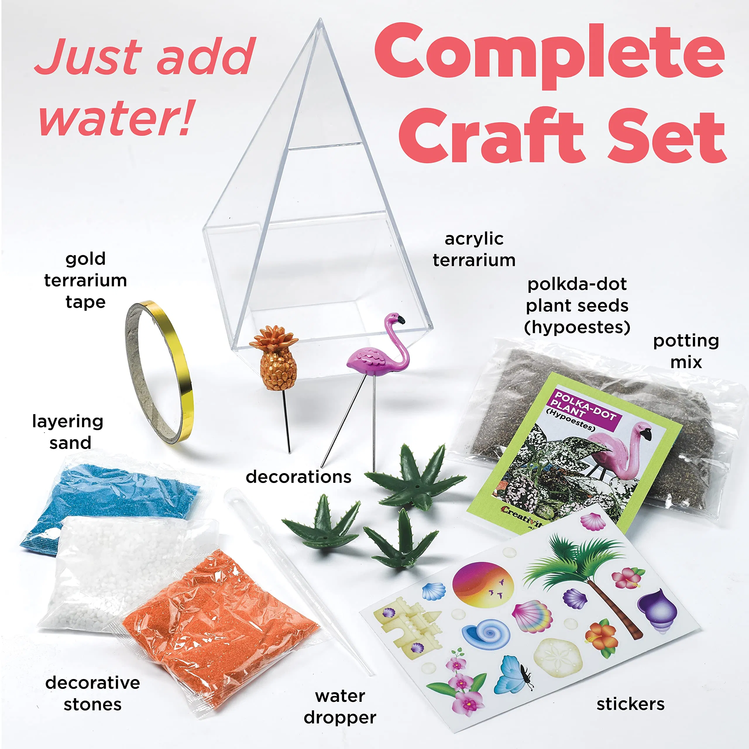 Wholesaler Creativity for Kids Tropical Terrarium Craft Kit for Kids Ages 7 Plus Steam Activity