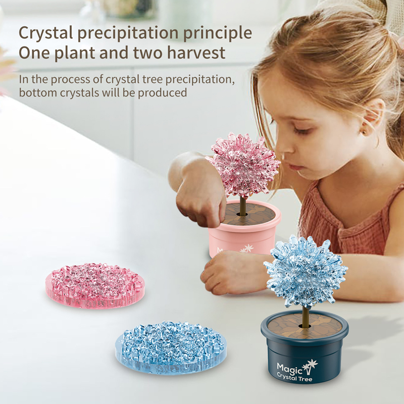 Crystals Science Kits Stem Projects DIY Educational Science Experiments Craft Toys Gifts Crystal Growing Kit