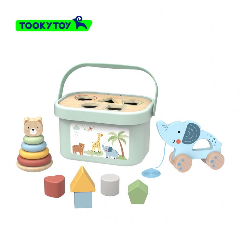 Educational Wooden Toy Set for Children's Cognitive Development