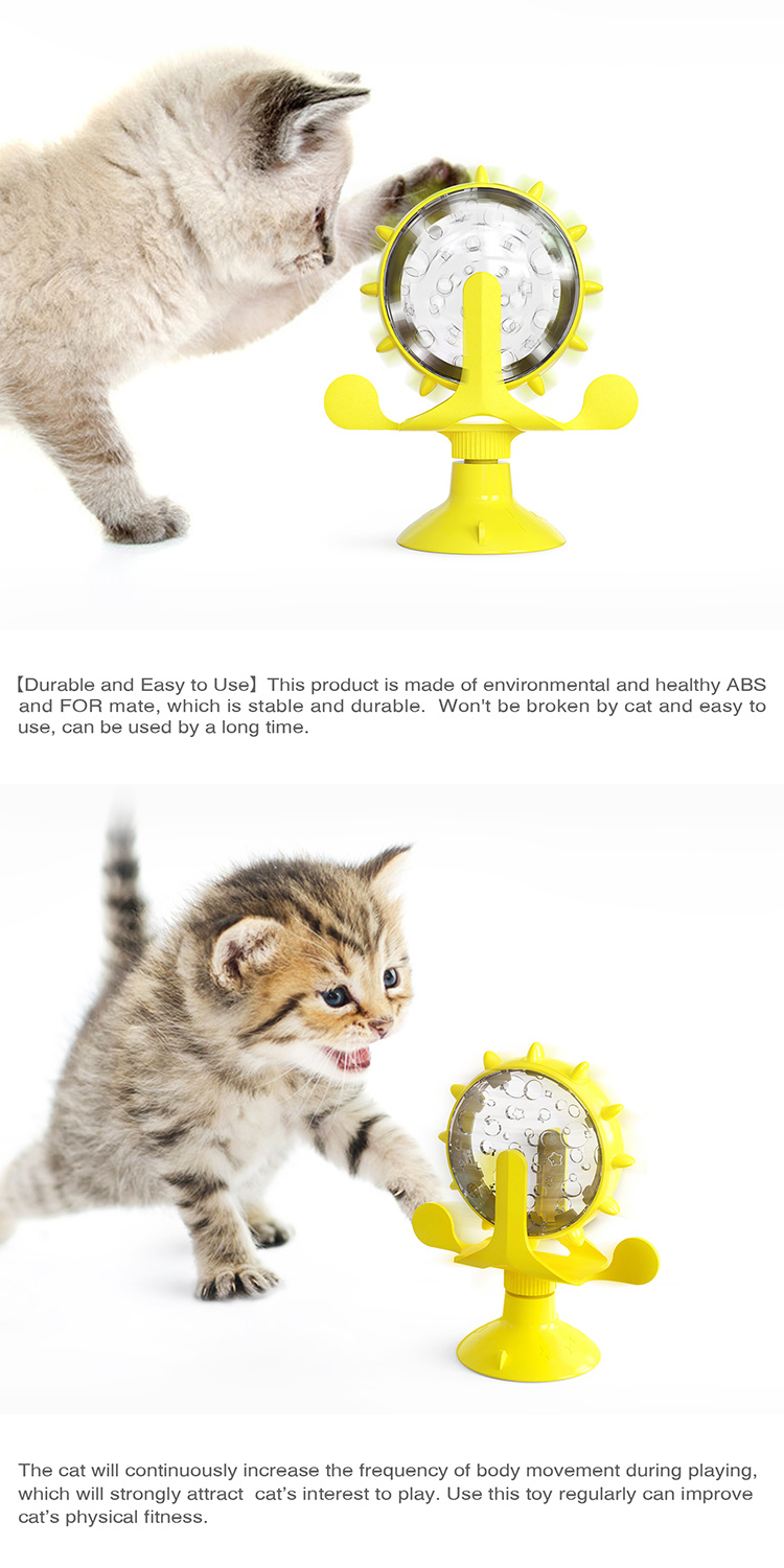 Product Description 6