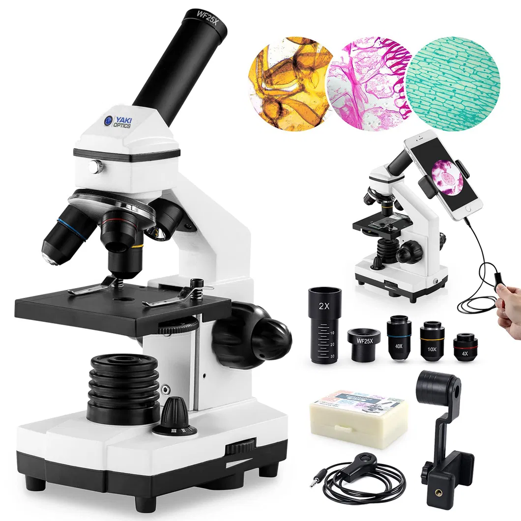 Biological Microscope 1