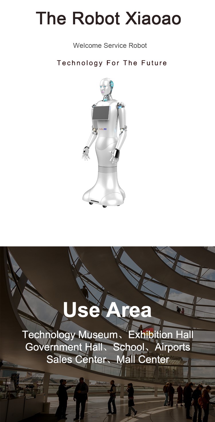 Intelligent Robot Display 1