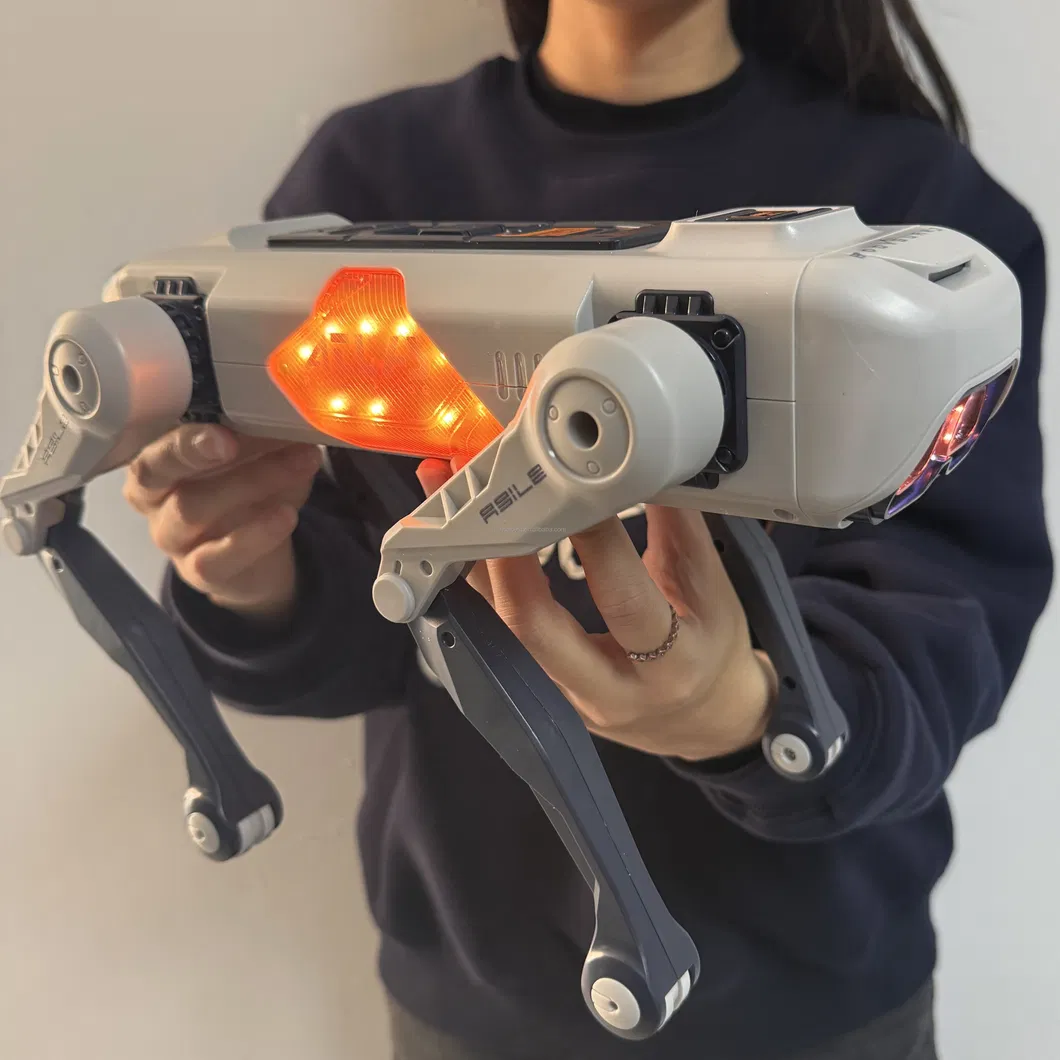 Robot Dog Interaction