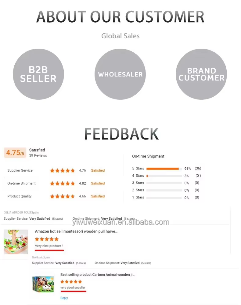 Professional Customer Service Structure