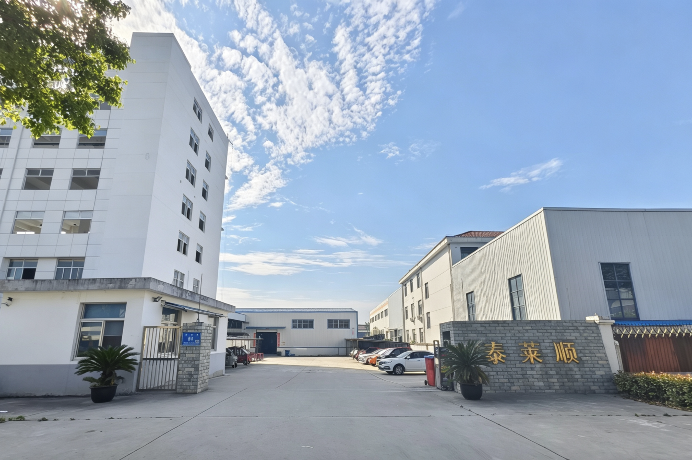 Company Overview