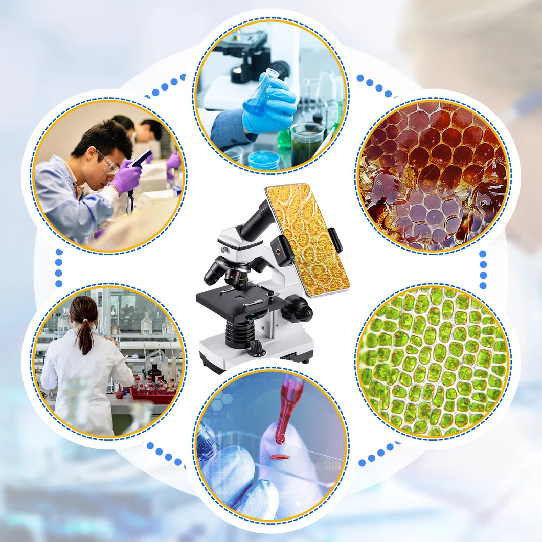 Biological Microscope 2