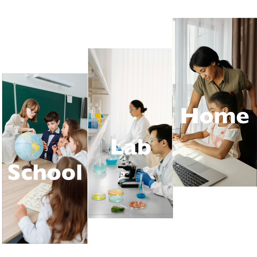 Eco-Friendly PVC Physics Science Experimental Teaching Magnet Set for Students and Children Compass Toys