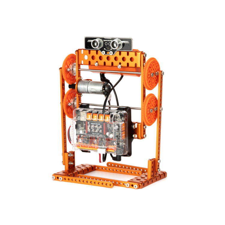 Walking Robot