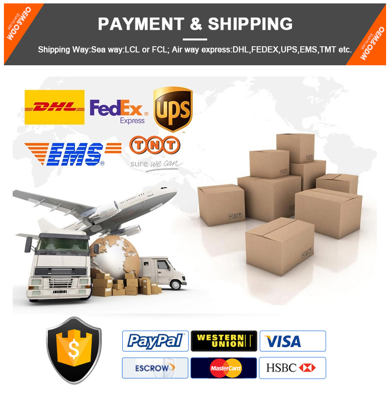 Payment and Shipping
