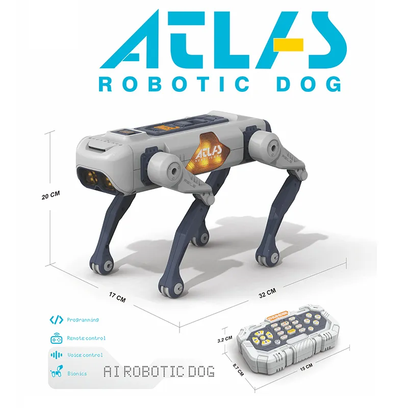 RC Dog View 3