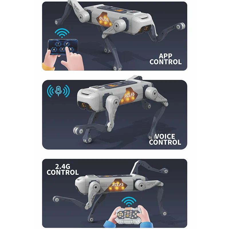 RC Dog View 2