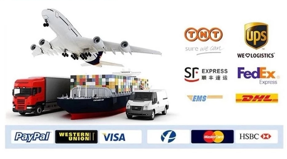 Shipping Info