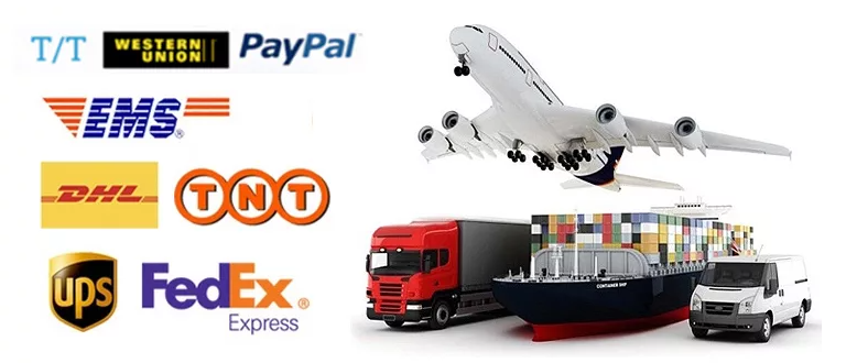 Payment and Shipping Methods Infographic