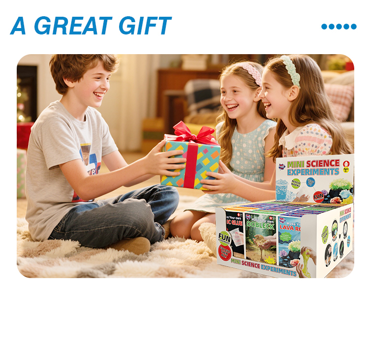 DIY Science Toys Details