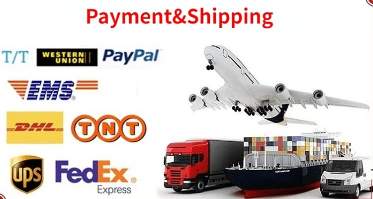 Payment and Shipping Methods