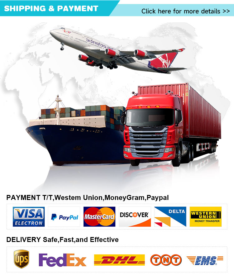Shipping Info