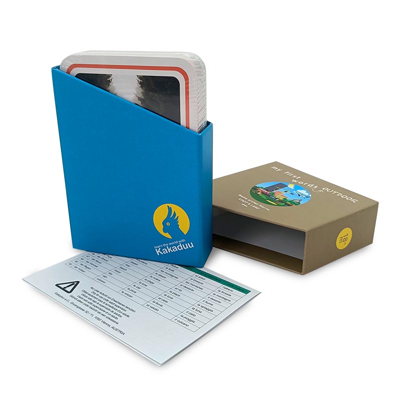 Kids Learning Education Game Build Vocabulary and Reading Skills 44 Phonemes Custom English Phonics Flashcards
