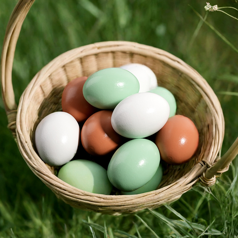 Spinning Toy Wooden Food - Egg and Duck Egg Set - Children's Pretend Play Coloring Artworks - Pranks Toys