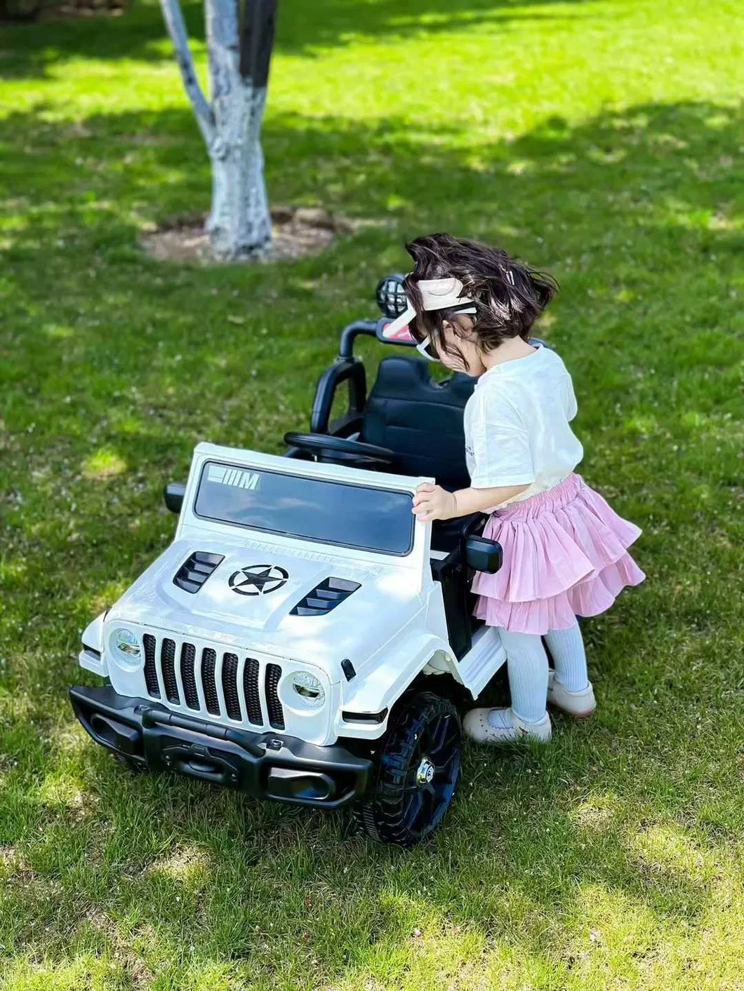 RC Car details 10