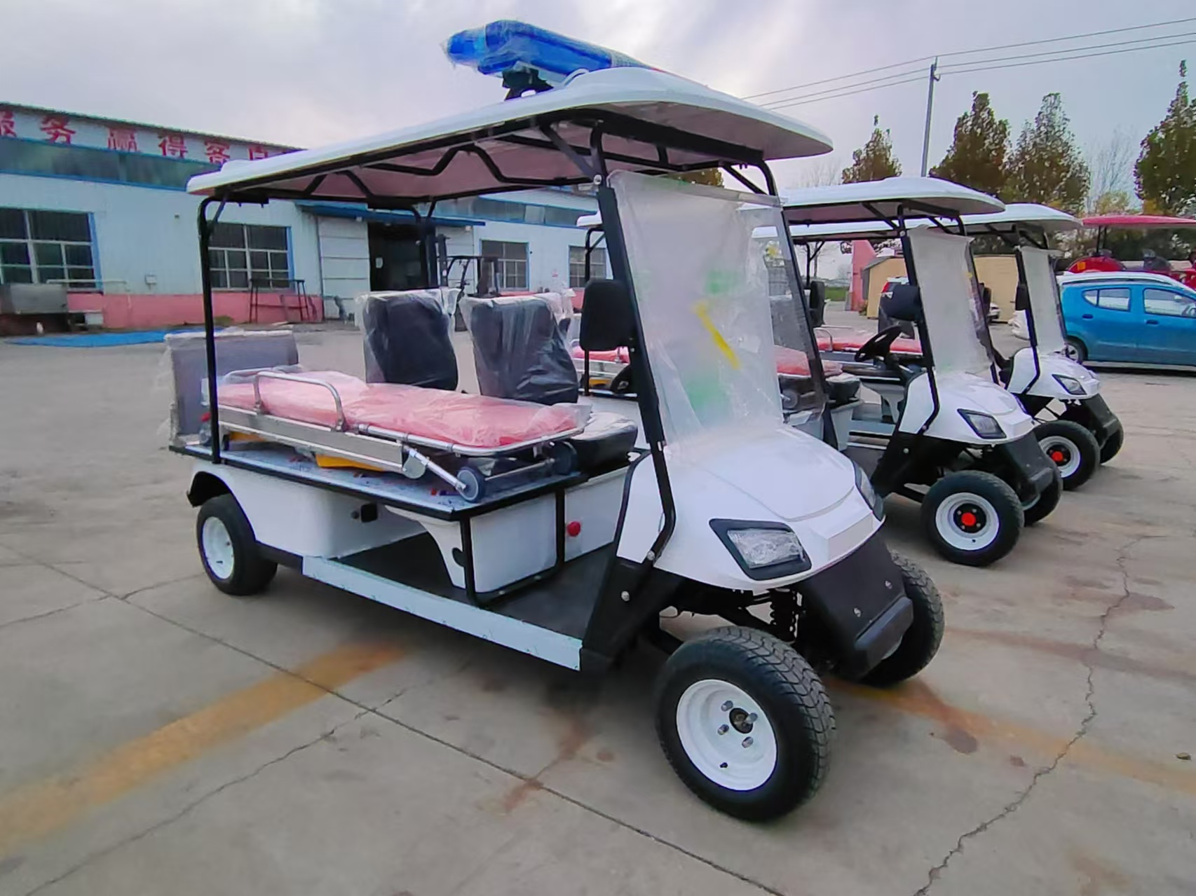 Electric Golf Cart Rear View