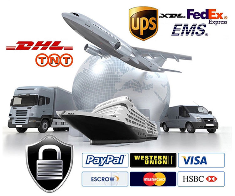 Logistics and Transport Standard