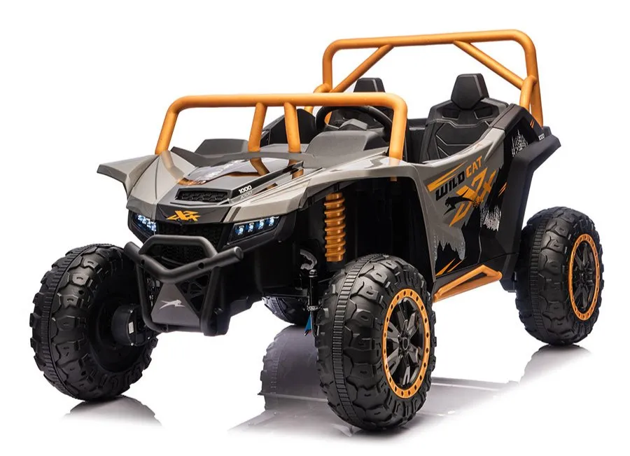 2 4G Kids Electric off-Road UTV Ride on Car 24V Remote Control