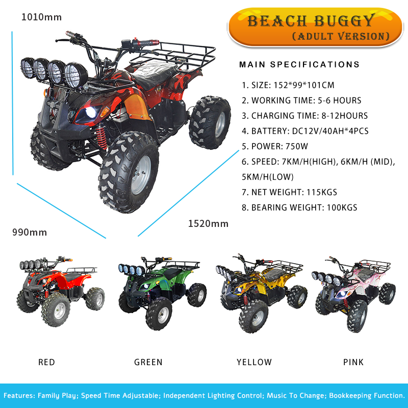 Beach Buggy Details 2