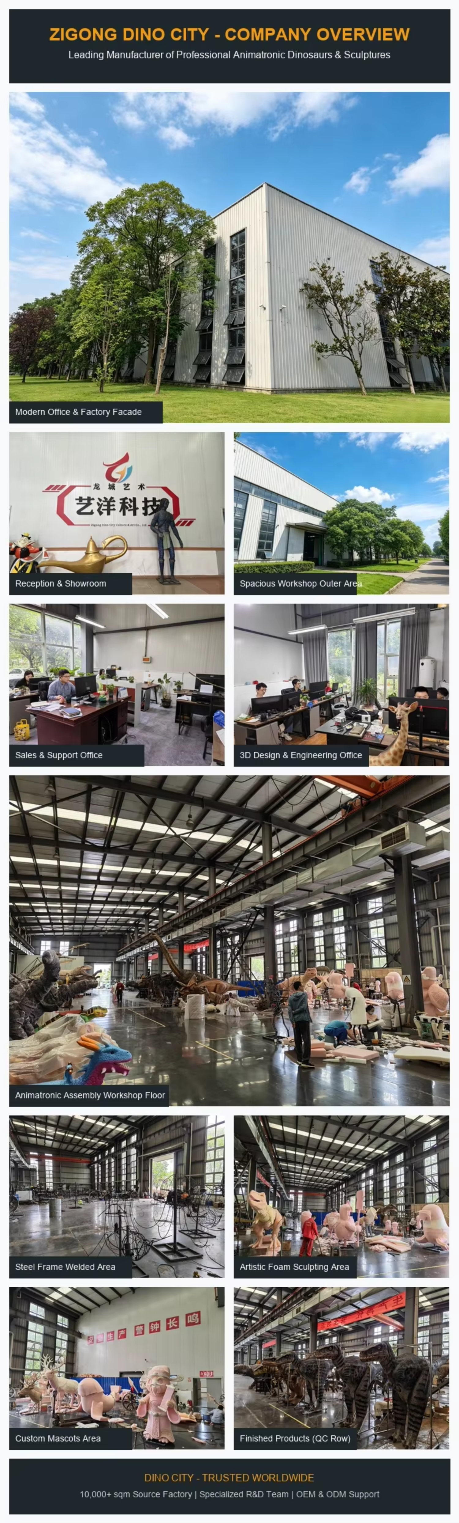 Company Overview