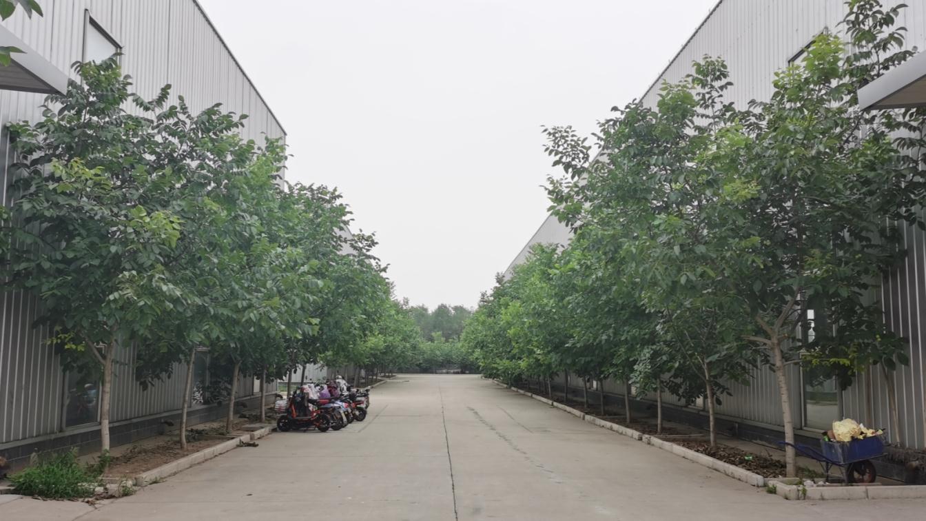 Factory View 2