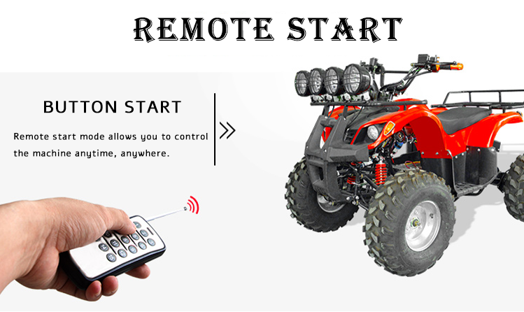 Beach Buggy Details 5
