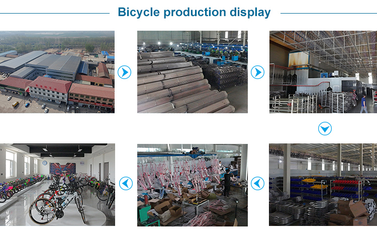 Product Showcase