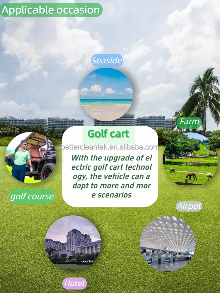 Golf Cart Interior Details