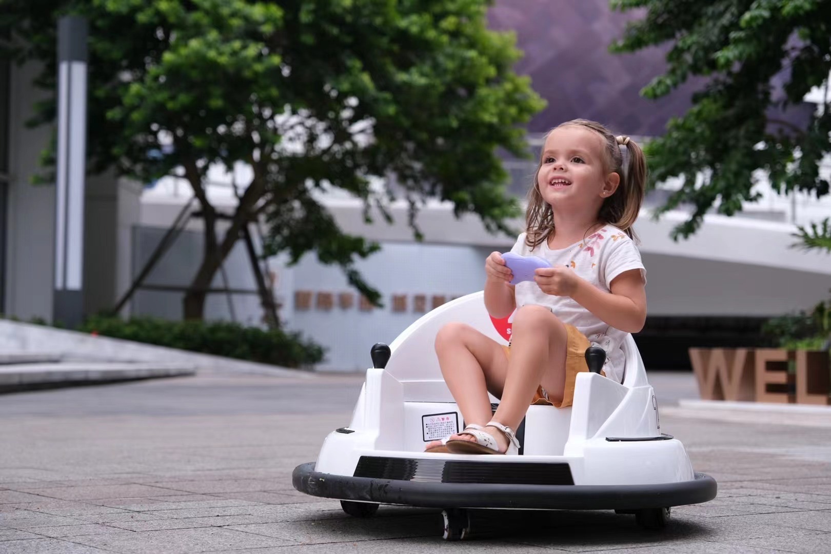 Bumper Car View 5