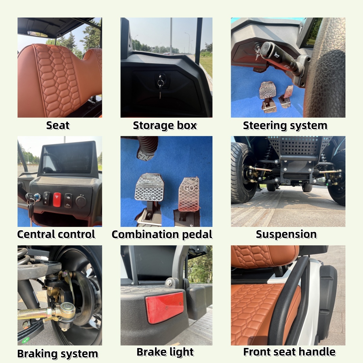 Electric Golf Cart Details
