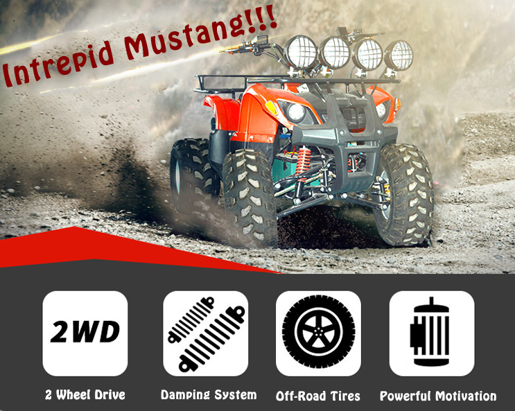 Beach Buggy Details 1